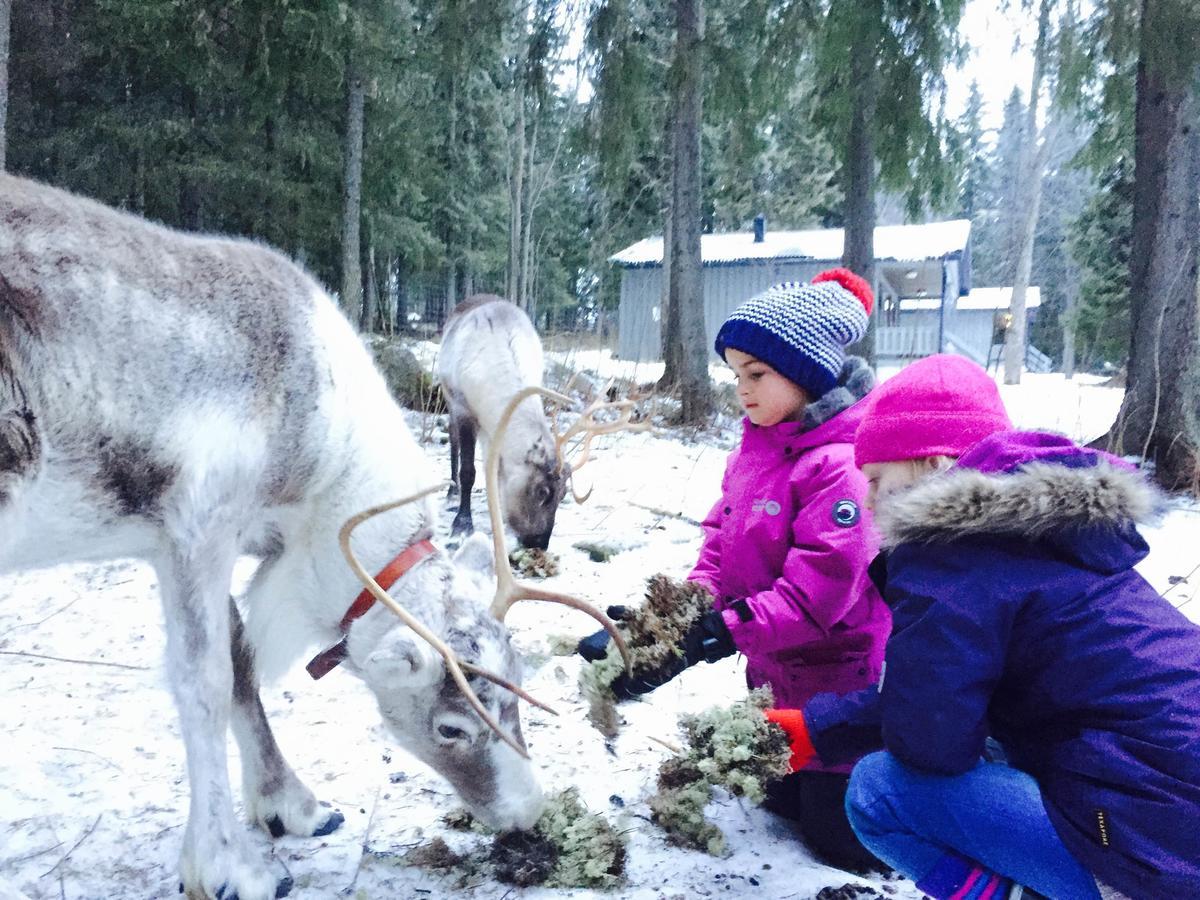 Pine Bay Lodge Person Экстерьер фото